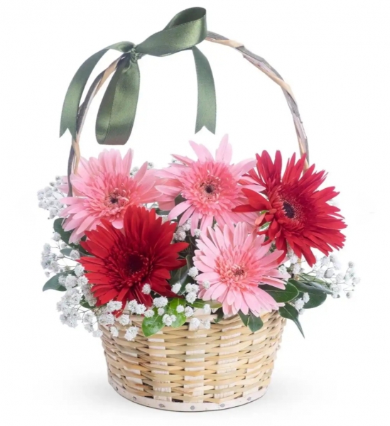 Gerbera Cicek Sepeti