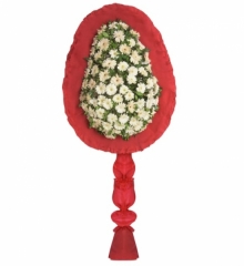 Beyaz Gerbera Celenk